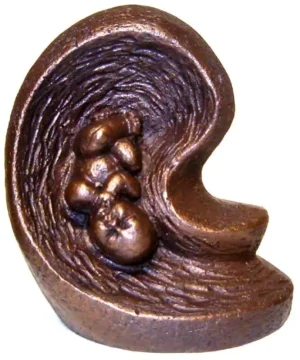 Beeldje baby geboorte schede