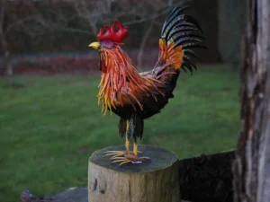 tuinbeeld metalen haan 50x20x82 gekleurde haan