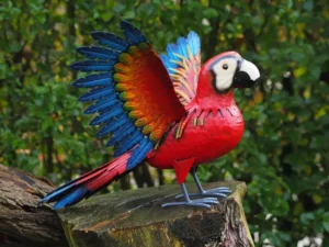 tuinbeeld metalen papagaai ara 45x50x38 CM