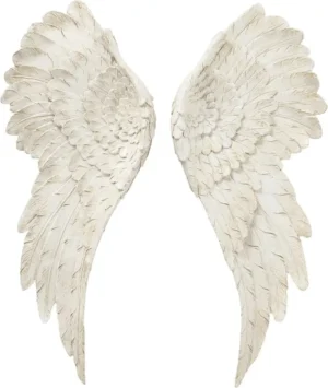 Engelen vleugels - Muurdecoratie - Wit - 55x22x7 cm